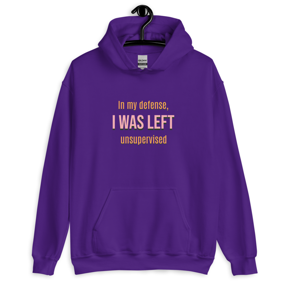 Closet Design 101 Hoodie