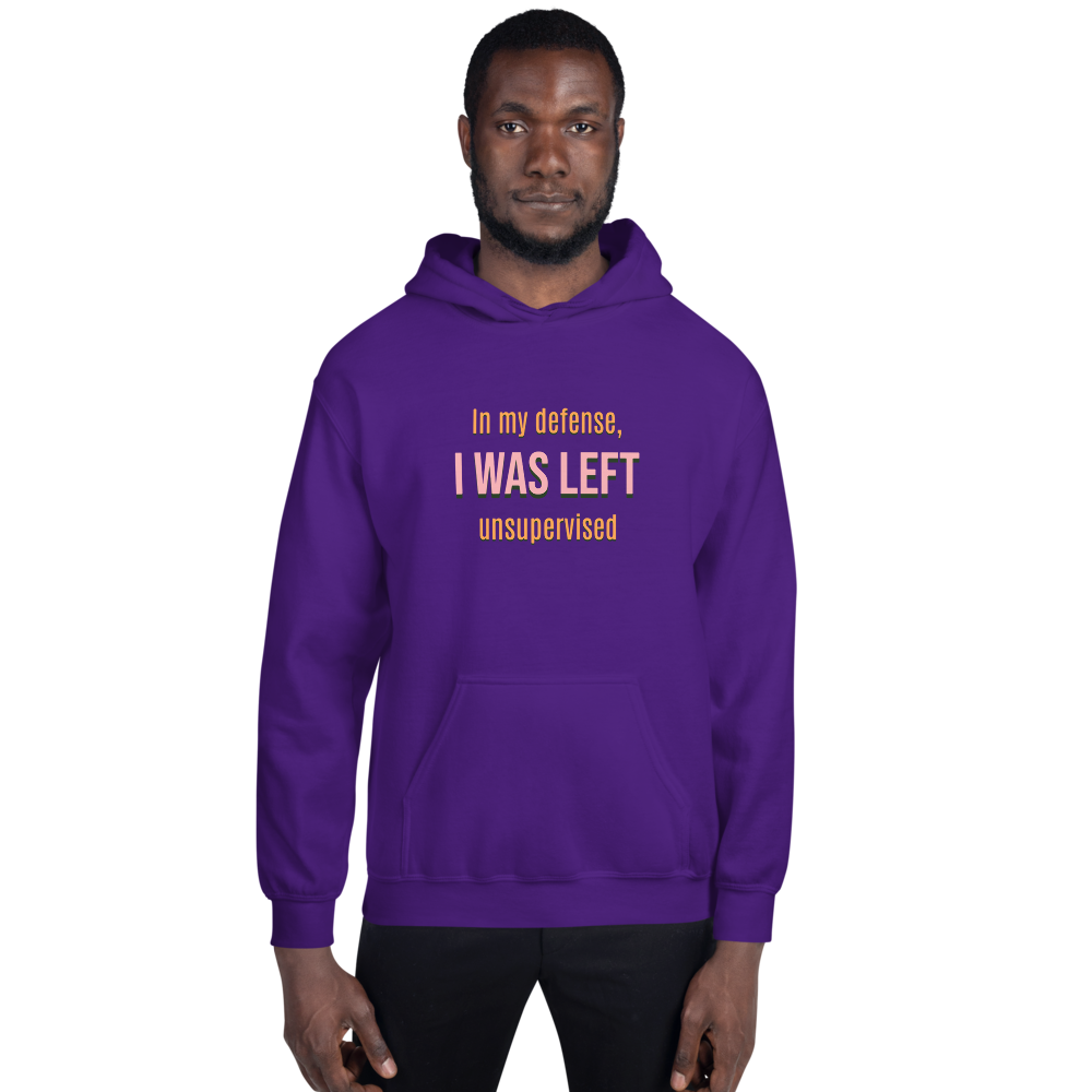 Closet Design 101 Hoodie